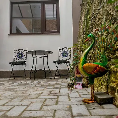 22 Loop Apartment