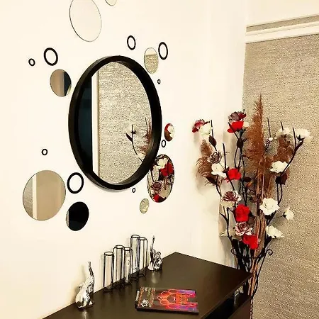 22 Loop * Brasov