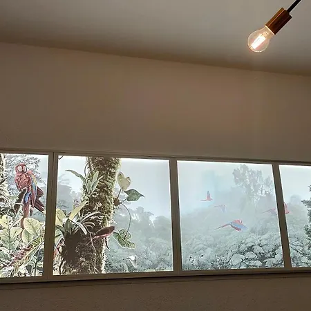 22 Loop Apartment