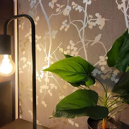 22 Loop Apartment Brasov