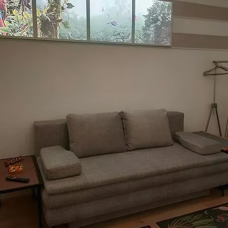 Apartment 22 Loop